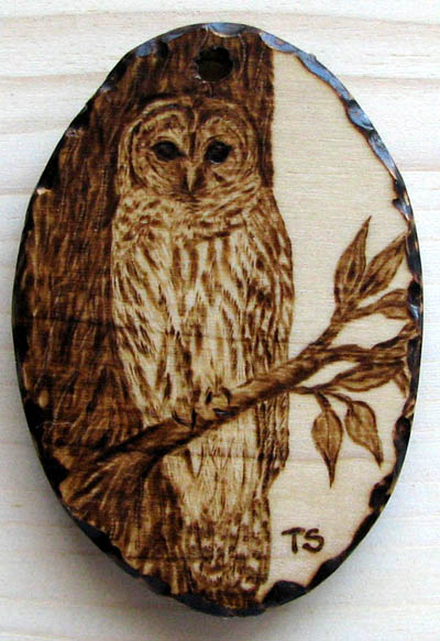 strix varia barred owl tanja sova pyrogaphy